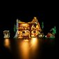 ExoticLightsia Light Kit For Snow White and the Seven Dwarfs' Cottage 43242-4