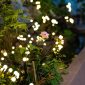 Solar Waterproof Swaying Lights Garden Decor3